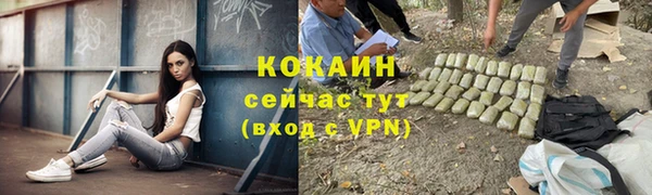 индика Валуйки