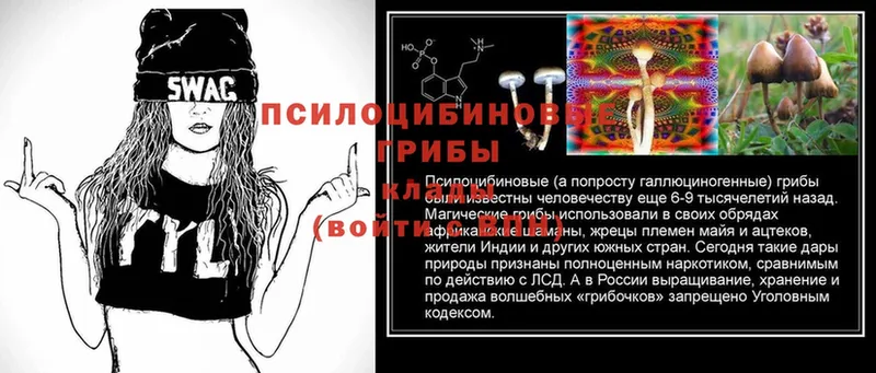 даркнет сайт  Балахна  KRAKEN зеркало  Псилоцибиновые грибы Psilocybe 