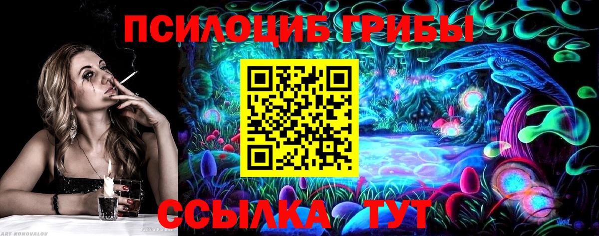 Балахна  Псилоцибиновые грибы GOLDEN TEACHER  Псилоцибиновые грибы прущие грибы  купить наркотики сайты  Вход с VPN 